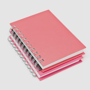 Notebooks & Diaries